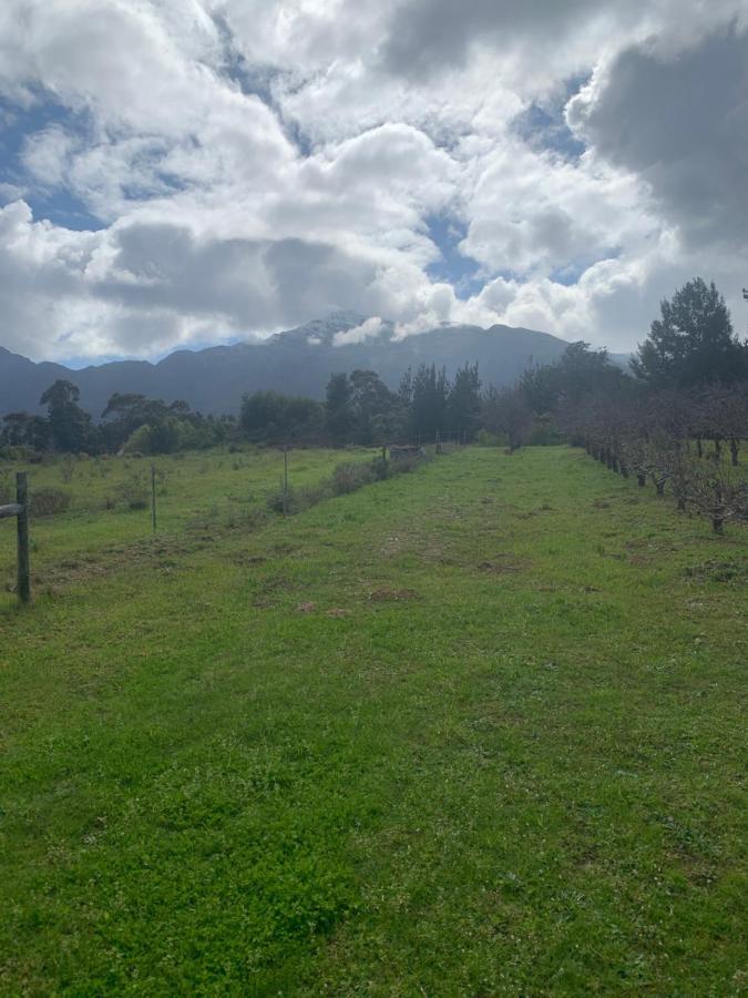 La Verdure Fruit Farm *