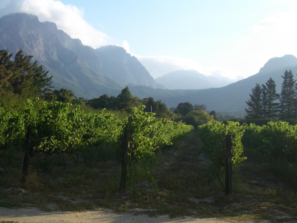 La Verdure Fruit Farm Apartment *